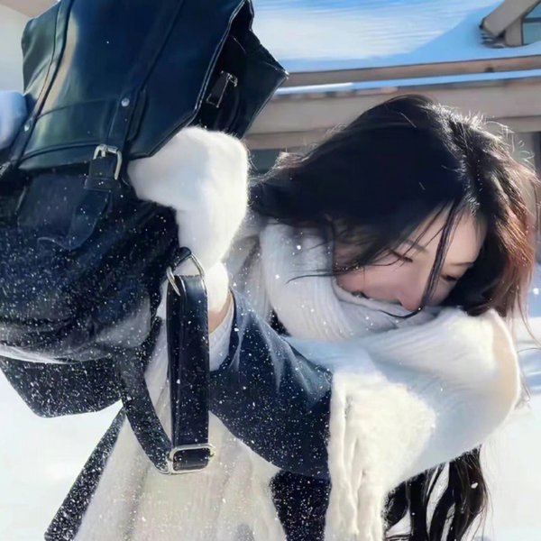 新妇日记